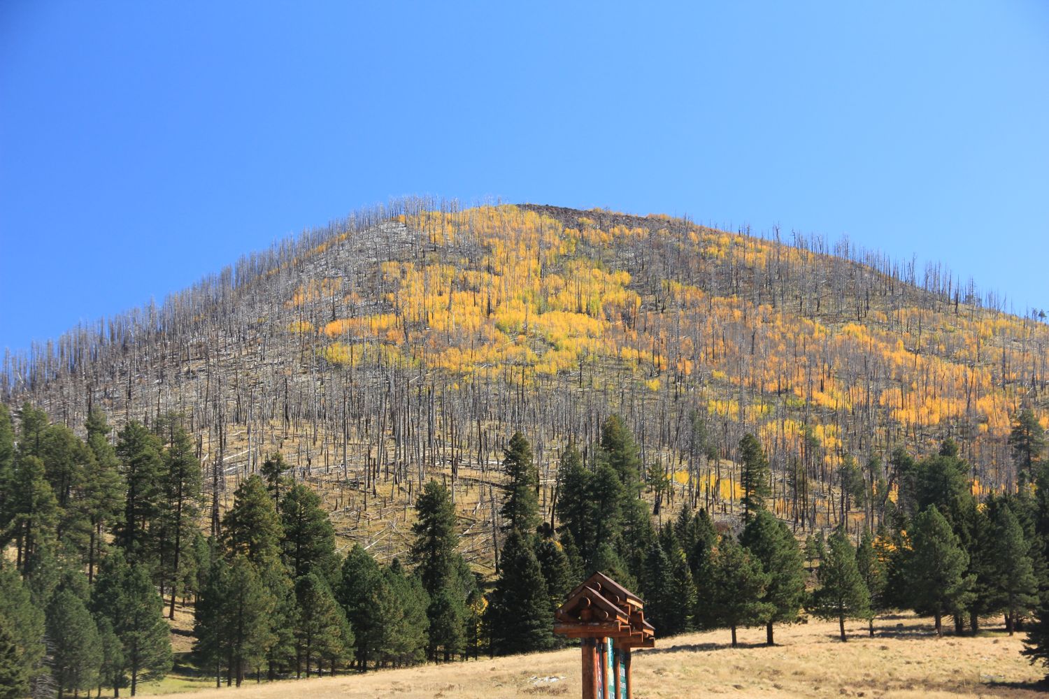 Valles Caldera National Preserve 